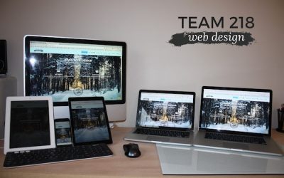 Team 218 Web Services Blog 12 Testing Responsive Web Design