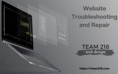 Team 218 Web Services Blog 11 Website Repair