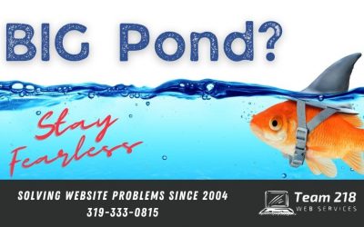 Team 218 Web Services Blog 9 Small Business Websites