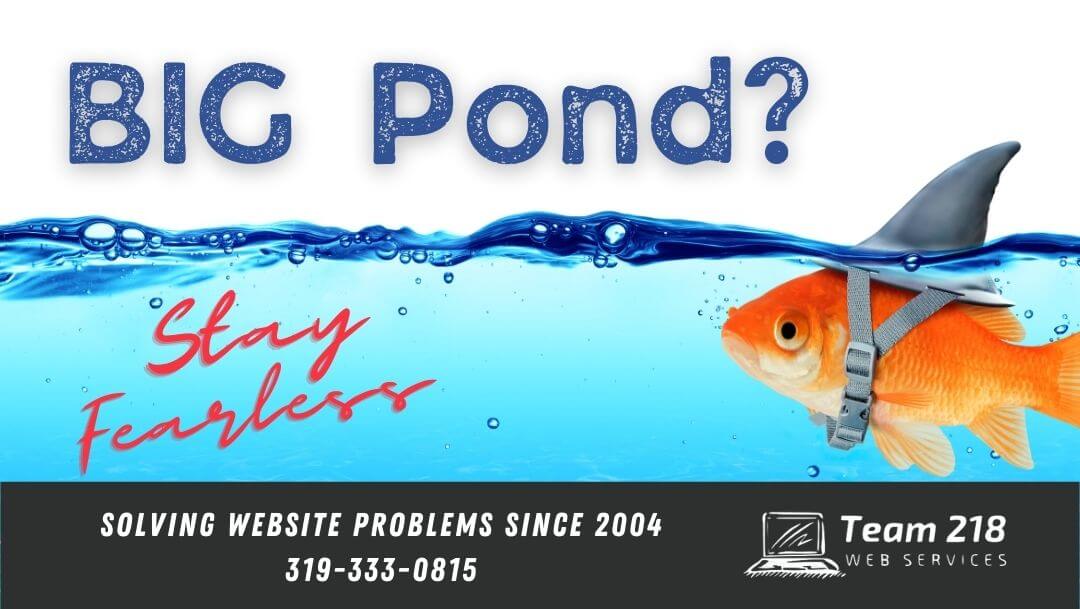 Small Business Websites | Little Fish in a Big Pond