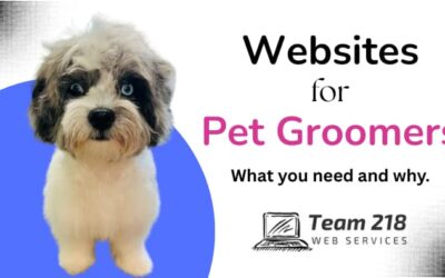 Why Iowa Pet Groomers Need a Great Website in 2025